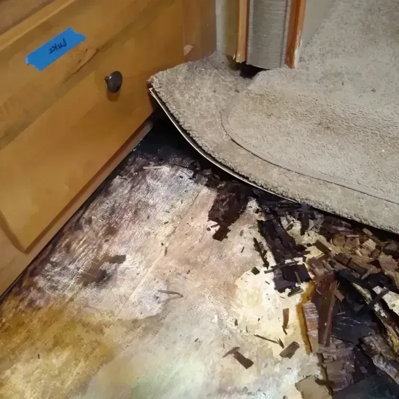 Wood Floor Water Damage in Amberley, OH